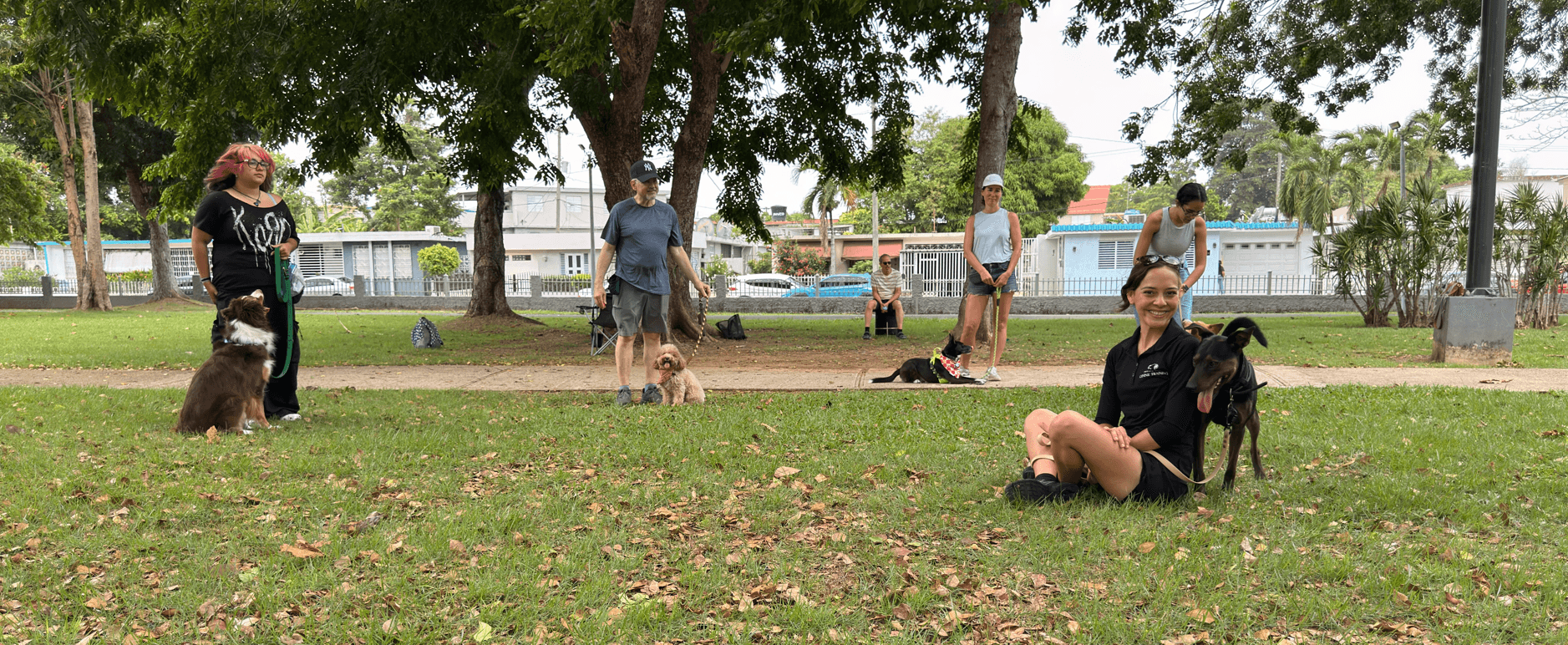 Anayla sentada en el césped con un perro durante una clase de entrenamiento grupal en un parque de Puerto Rico, con otros clientes y sus perros practicando cerca bajo los árboles